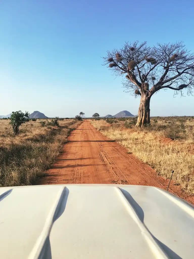 5-Day Best of Tanzania Safari – Lake Manyara, Serengeti & Ngorongoro Crater