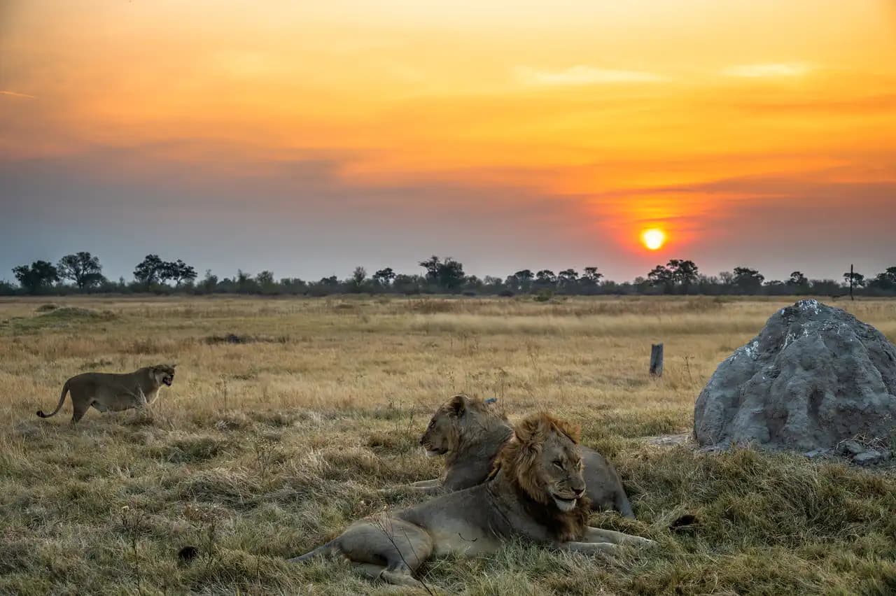 5-Day Kenya Safari – Lake Nakuru & Maasai Mara National Reserve